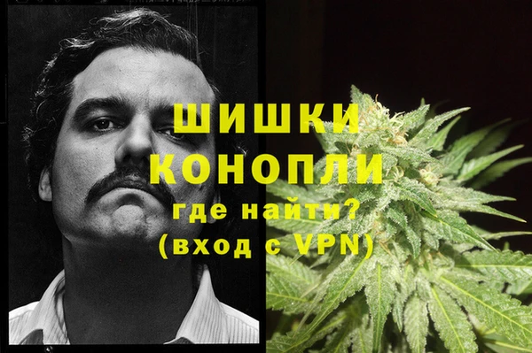 соль ск Белокуриха