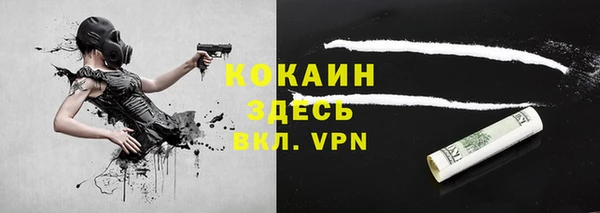 индика Беломорск