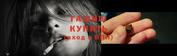 индика Беломорск