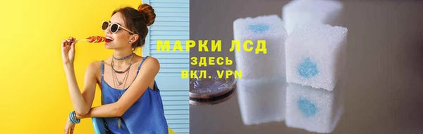 индика Беломорск