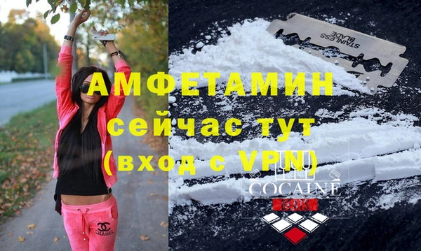 индика Беломорск