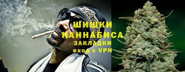 индика Беломорск