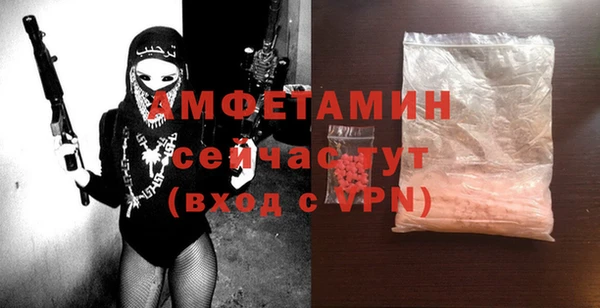 индика Беломорск
